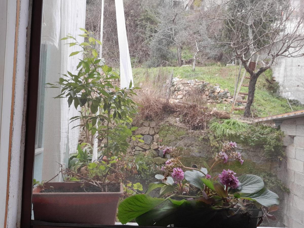 Antichi Sapori Da Speranza Villa Gavoi Rom bilde